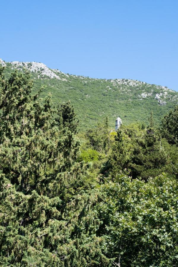 La Olga Apartment Lefkada Sivros Bagian luar foto